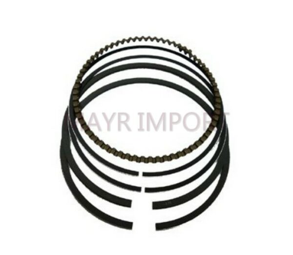 SEGMENTOS (STD) ADAPTABLE G100