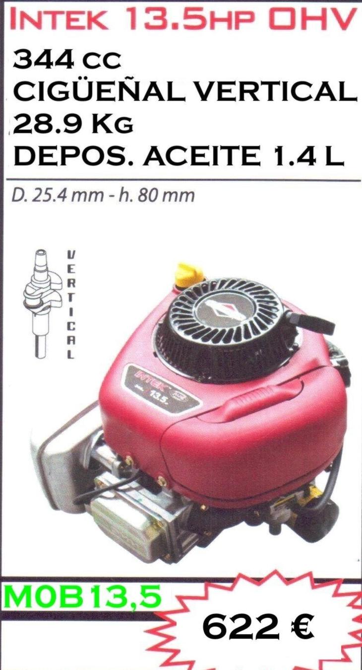 MOTOR BRIGGS & STRATTON INTEK13.5hp OHV