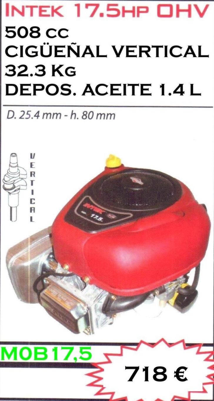 MOTOR BRIGGS & STRATTON INTEK 17.5hp OHV