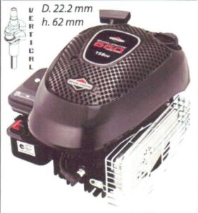 MOTORES BRIGGS & STRATTON 550 SERIES  